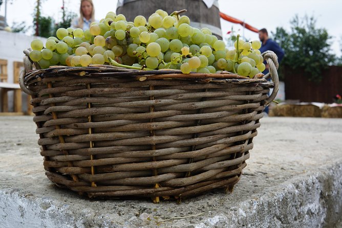Bike & Wine tour in Dealu Mare wineland - Boutique Cellar, Local Wine, and a Proper Snack