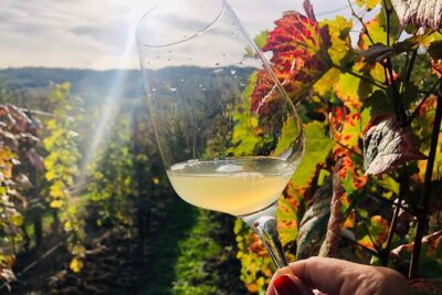 Bike & Wine tour in Dealu Mare wineland