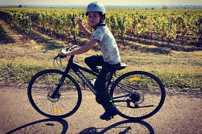 Bike & Wine tour in Dealu Mare wineland - How the Price Works Out at $139.67