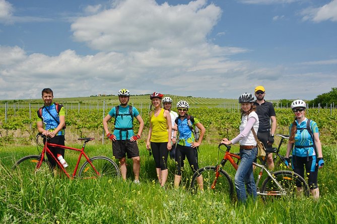 Bike & Wine tour in Dealu Mare wineland - Booking, Weather, and Timing Tips