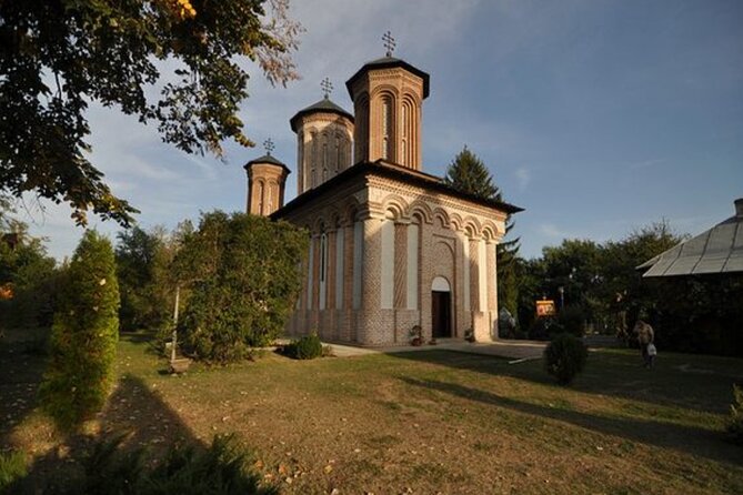 Bison Sanctuary, Vlad the Impaler Princely Court & Dracula Grave - Private transport makes the nine-hour day easier