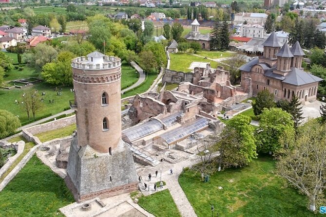 Bison Sanctuary, Vlad the Impaler Princely Court & Dracula Grave - Should you book the bison and Dracula day trip?
