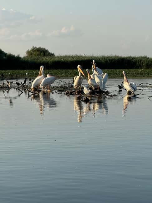 Boat Trip to Caraorman Forest – Danube Delta (6–7 hours) - Litcov Channel and the arrival at Caraorman