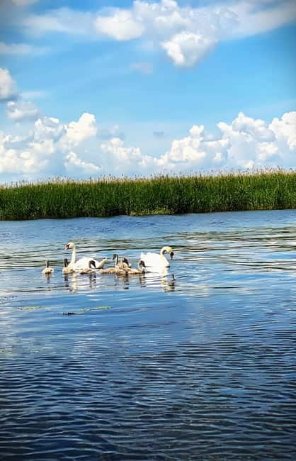 Boat Trip to Caraorman Forest – Danube Delta (6–7 hours) - The optional lunch: local food and a taste of Delta life