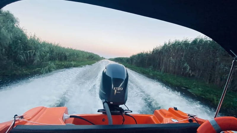 Boat Trip to Caraorman Forest – Danube Delta (6–7 hours) - Boarding at Murighiol and entering the old Sfântu Gheorghe arm