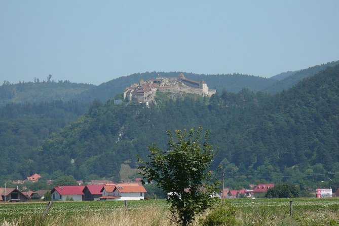 Bran Castle and more options private tour from Brasov - Libearty Bear Sanctuary: a separate, worthwhile option