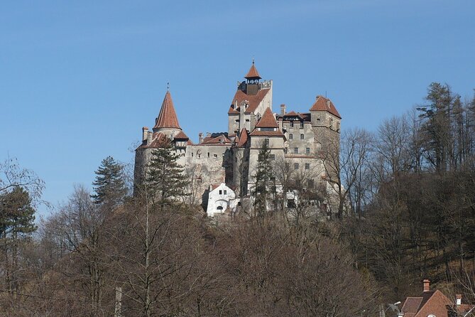 Bran Castle and more options private tour from Brasov - Timing: four to six hours, or a longer day