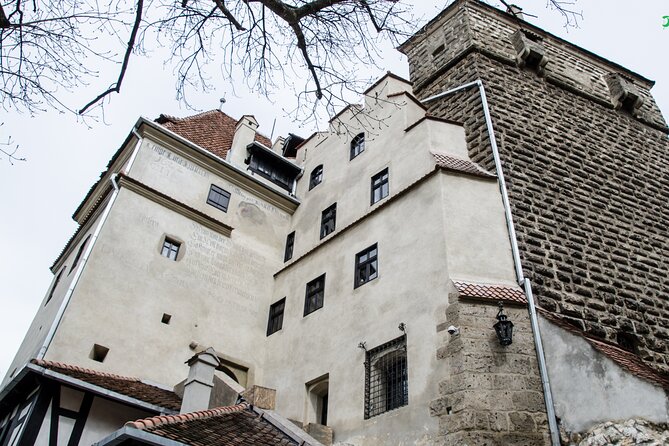 Bran Castle, Bear Sanctuary, and Rasnov Fortress Half Day Tour - Three hours among rescued bears at Libearty