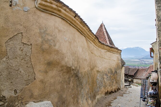 Bran Castle, Bear Sanctuary, and Rasnov Fortress Half Day Tour - Is $85 a fair price?