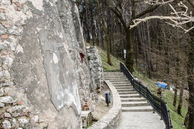 Bran Castle, Bear Sanctuary, and Rasnov Fortress Half Day Tour - Bran Castle, where fact meets Dracula