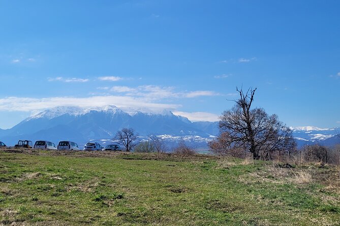 Bran Castle & Bear Sanctuary from Brasov - Optional Peles Castle - What the Private Format Really Gives You
