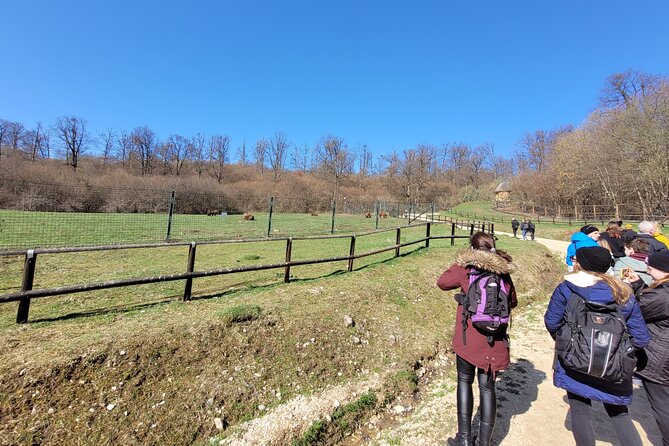 Bran Castle & Bear Sanctuary from Brasov - Optional Peles Castle - Who Should Book This Day Trip
