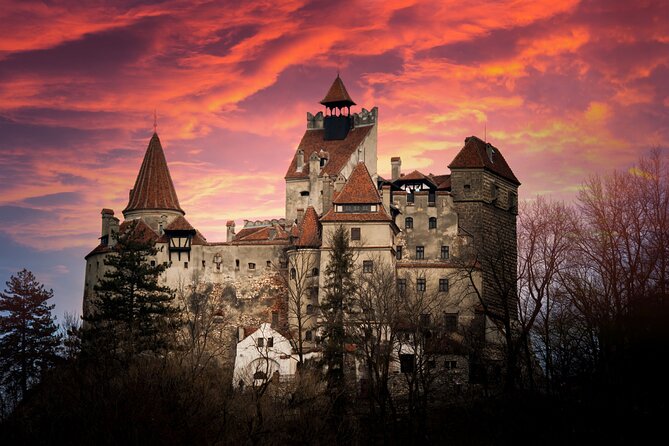 Bran Castle Entry Tickets - Queen Maria’s garden and the 1922 tea house