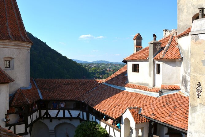 Bran Castle Entry Tickets - How much time the queue can save
