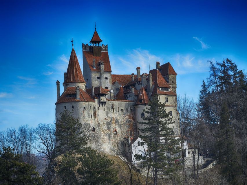 Bran: Guided Castle Tour - Timing, noise, and comfort inside the castle