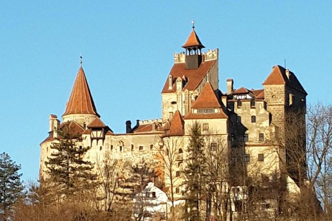 Brasov: Bear Sanctuary, Bran Castle & Rasnov Fortress GUIDED Tour - Why this Brasov day trip works so well
