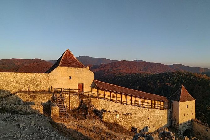 Brasov: Bear Sanctuary, Bran Castle & Rasnov Fortress GUIDED Tour - Transport, pace, and group size
