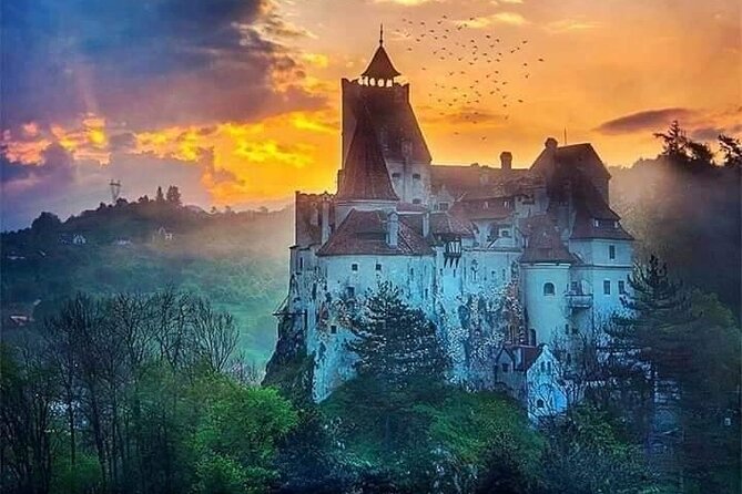 Brasov: Bear Sanctuary, Bran Castle & Rasnov Fortress GUIDED Tour - Admission fees and the real cost