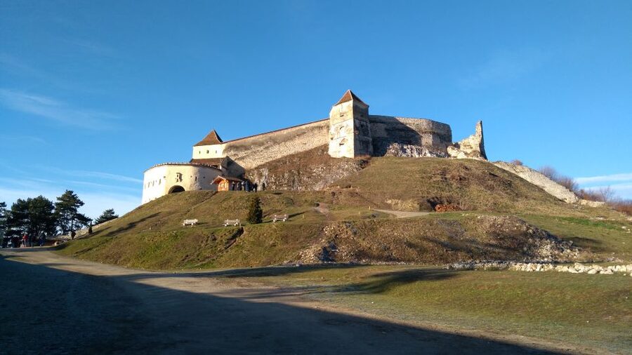 Brasov: Bear Sanctuary, Bran Castle & Rasnov Fortress Tour - Meeting the Rescued Bears at Libearty Sanctuary