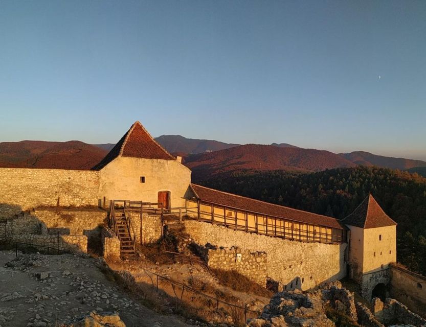 Brasov: Bear Sanctuary, Bran Castle & Rasnov Fortress Tour - Is $61 a Good Value?
