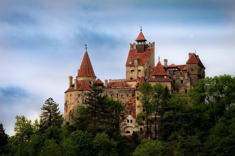 Brasov: Bear Sanctuary, Dracula Castle, and Râşnov Fortress - Why this six-hour Transylvania trip works