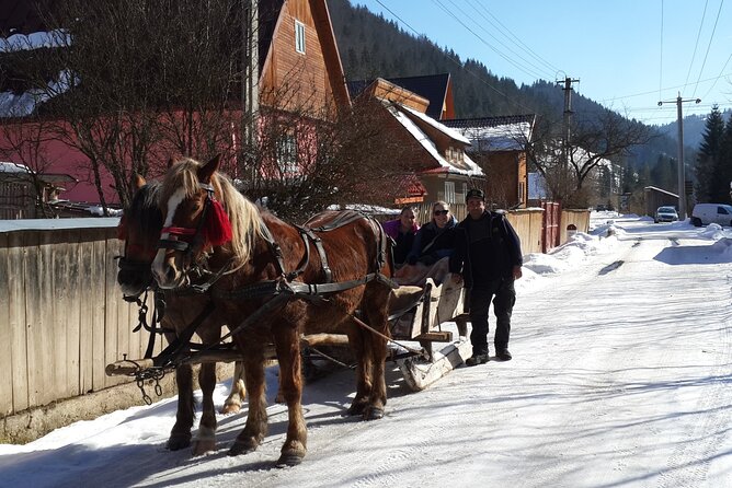 Brasov: Bears Sanctuary, Rasnov Fortress, Bran Castle GUIDED Tour - Guides can shape the entire day