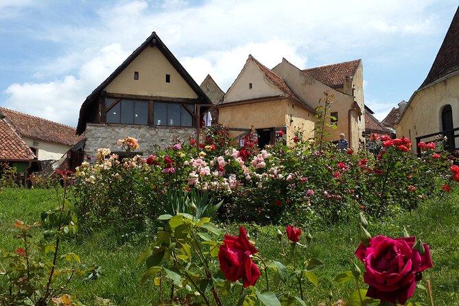 Brasov: Bears Sanctuary, Rasnov Fortress, Bran Castle GUIDED Tour - Transport, timing, and what the price really covers
