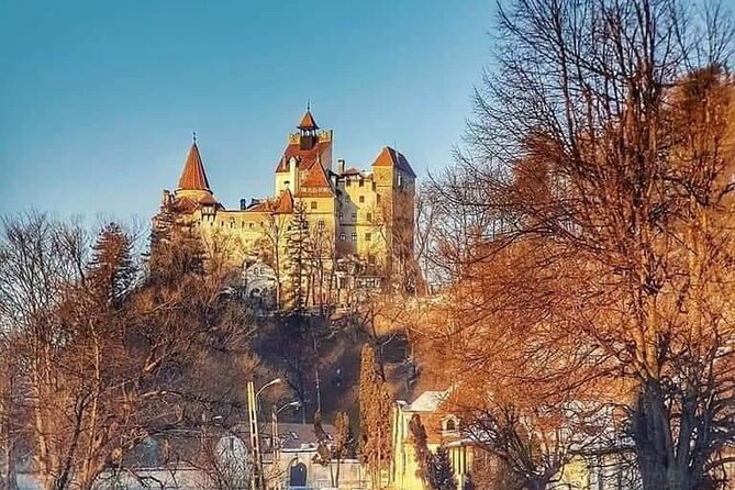 Brasov: Bears Sanctuary, Rasnov Fortress, Bran Castle GUIDED Tour - Who will enjoy this tour most