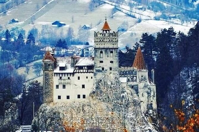 Brasov: Bears Sanctuary, Rasnov Fortress, Bran Castle GUIDED Tour - Libearty Bear Sanctuary: the most moving stop