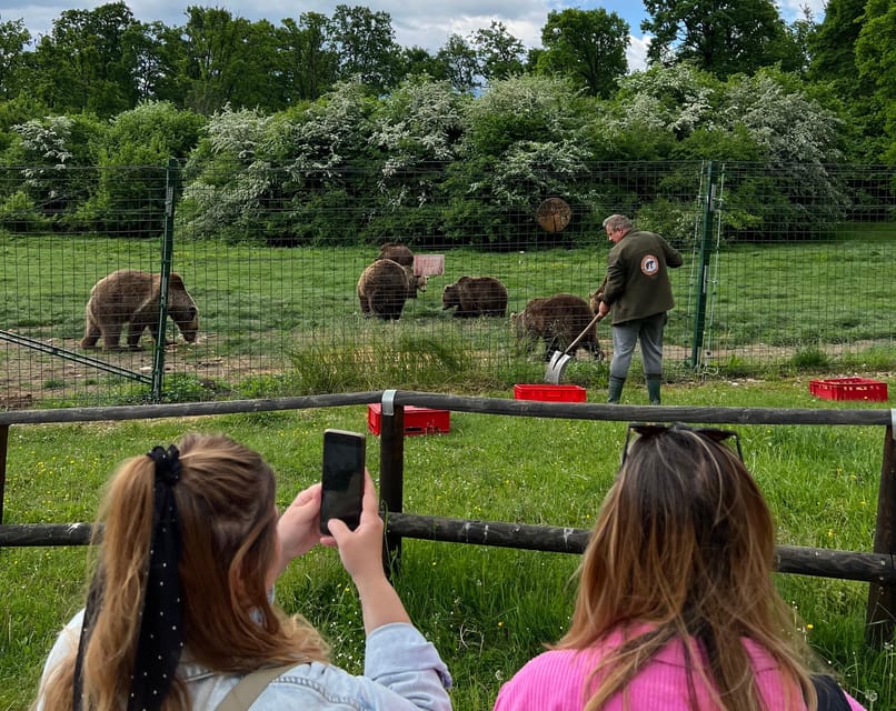 Brasov: Bran Castle, Bear Sanctuary, Rasnov (Peles Optional) - Why this 6.5-hour outing works from Brasov