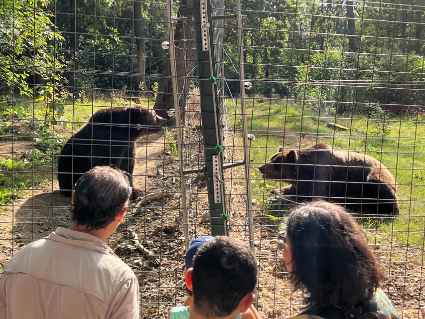 Brasov: Bran Castle, Bear Sanctuary, Rasnov (Peles Optional) - The optional Peles Castle question