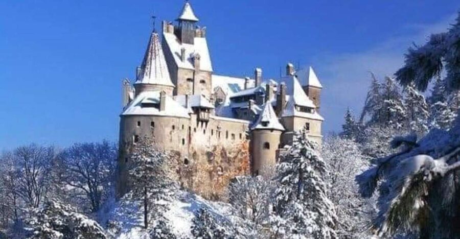 Brasov: Bran, Peles and Cantacuzino Castles Day Tour - Who should book this day tour?