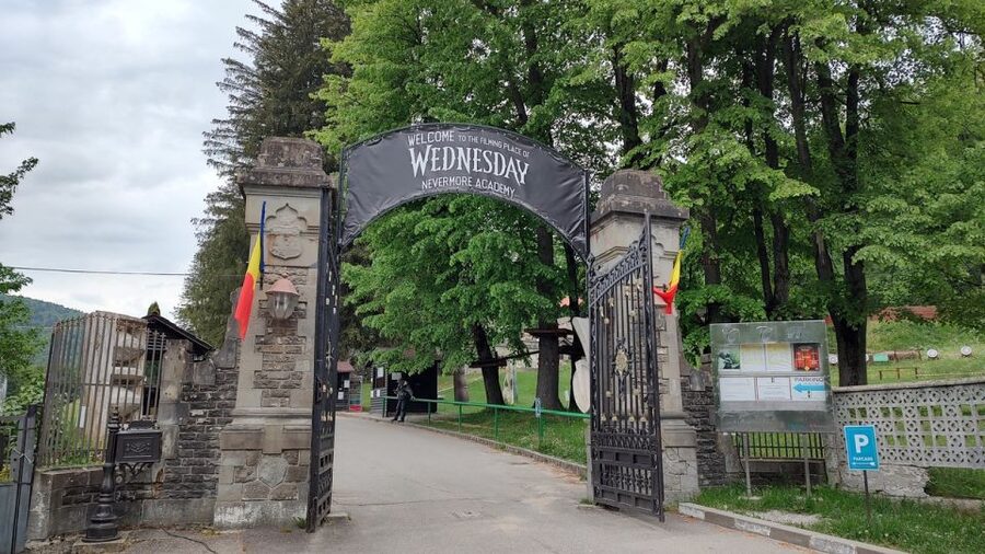 Brasov: Bran, Peles and Cantacuzino Castles Day Tour - Why this castle combination works