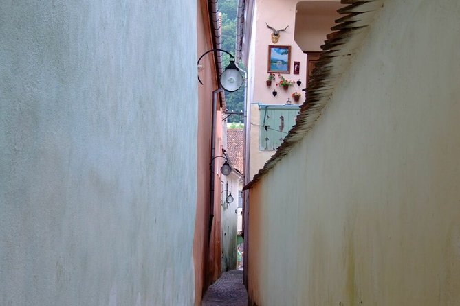 Brasov City Guided Walking Tour for Small Group - Why this walking tour is a smart first look at Brasov