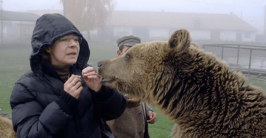 Brasov: Libearty Bear Sanctuary - Key points at a glance