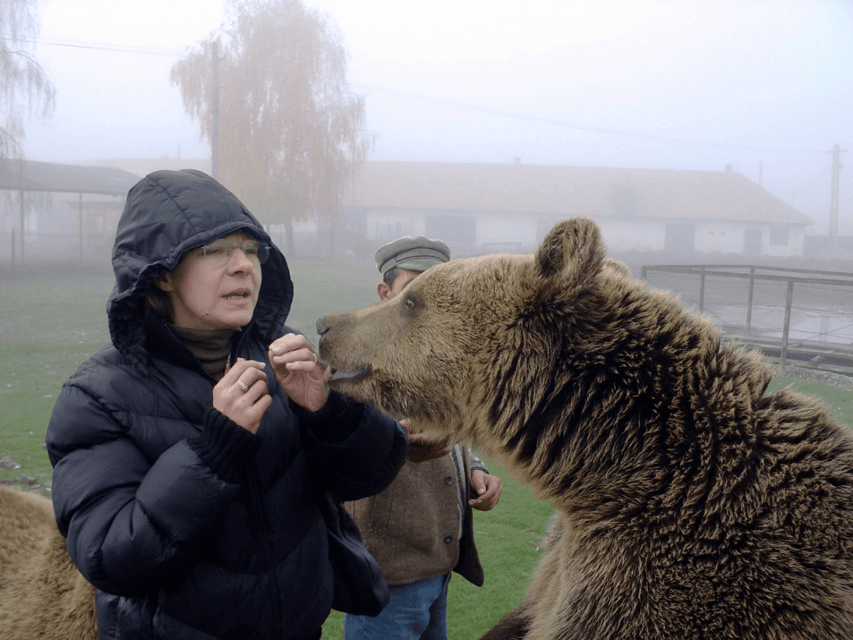 Brasov: Libearty Bear Sanctuary - Entering the forest refuge
