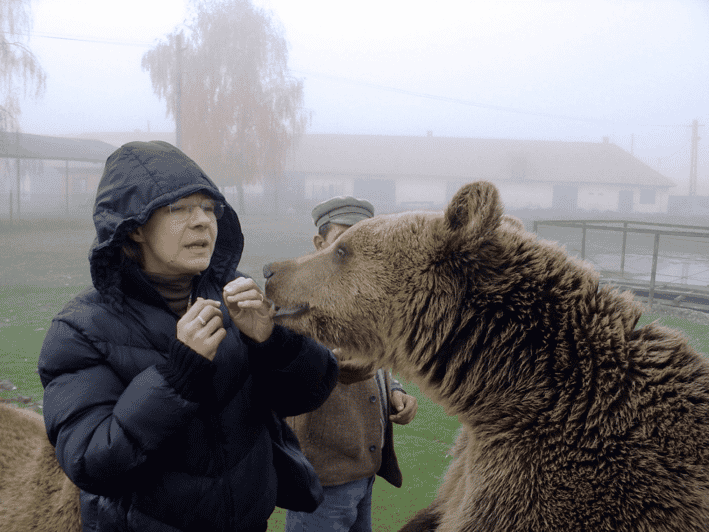 Brasov: Libearty Bear Sanctuary - Pickup in Brasov and the five-hour schedule