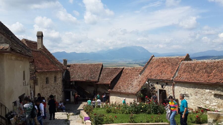 Brasov: Peles Castle, Bran Castle & Rasnov Fortress Day Tour - Transport, timing, and the $84 price