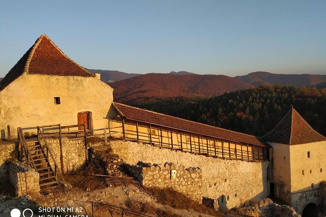 Brasov: Peles Castle, Bran Castles and Rasnov Fortress Day Tour - What the $85.08 price really covers