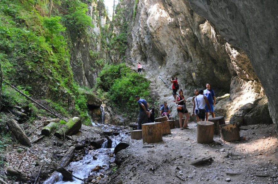 Brasov: Small-Group 7 Ladders Canyon Day Trip - Why Seven Ladders Canyon makes a good Brașov day trip