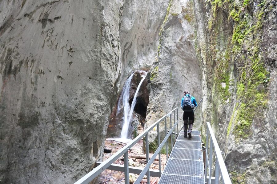 Brasov: Small-Group 7 Ladders Canyon Day Trip - How much help does the guide provide?