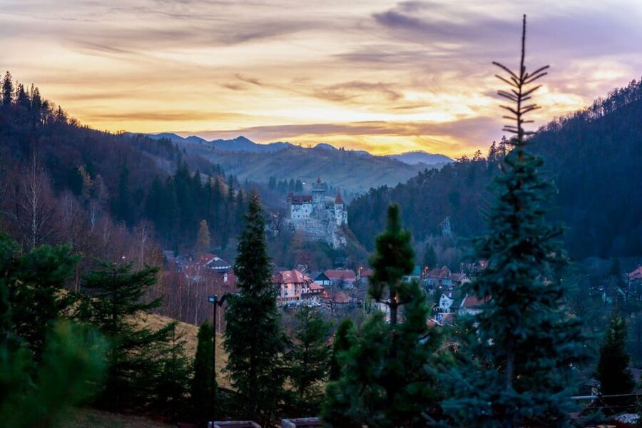 Bucharest: Bran Castle and Bear Sanctuary Small-Group Tour - Libearty Bear Sanctuary: the day’s most affecting stop