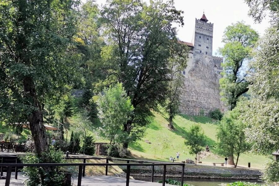 Bucharest: Bran Castle and Bear Sanctuary Small-Group Tour - The return drive and the value of a small group