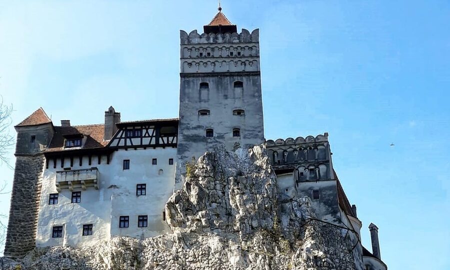 Bucharest: Bran Castle and Bear Sanctuary Small-Group Tour - Should you book the Bran Castle and bear sanctuary tour?