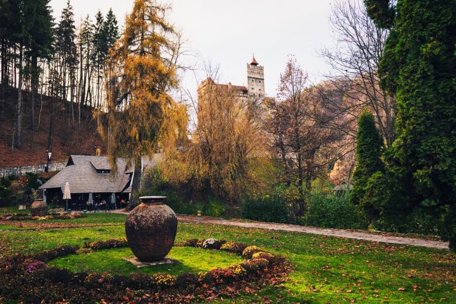 Bucharest: Bran Castle and Bear Sanctuary Small-Group Tour - Leaving Bucharest for the Carpathians