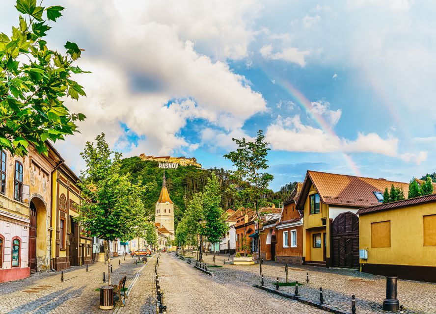 Bucharest: Bran & Peles Castle with Rasnov Citadel Day Trip - The drive through Prahova Valley