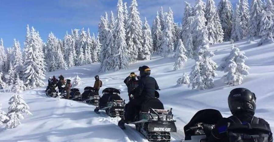 Bucharest: Carpathian Snowmobile / ATV Adventure Tour - Key points to know before booking