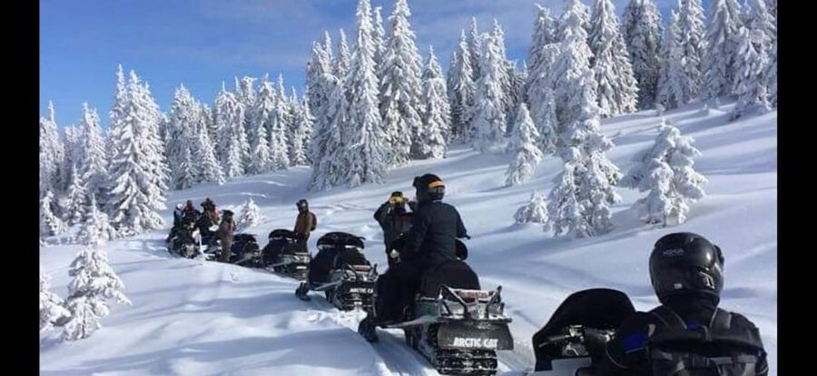 Bucharest: Carpathian Snowmobile / ATV Adventure Tour - Guides, drivers, and the private-tour advantage