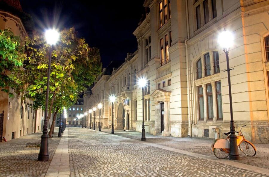 Bucharest: Charm of the Belle Époque Private Tour - Palaces, music, and high society