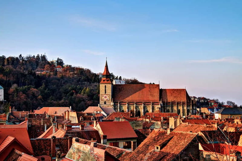 Bucharest: Day Trip to Bear Sanctuary, Bran Castle & Brasov - Meeting the bears at Libearty Sanctuary